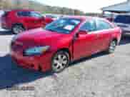 2008 Toyota Camry XLE с VIN 4T1BE46K78U203381, выставлен на аукционе IAAI как лот 43499474 с пробегом 297 402 миль миль и . История ставок и продаж доступна на DreamBid. Изображение 2.