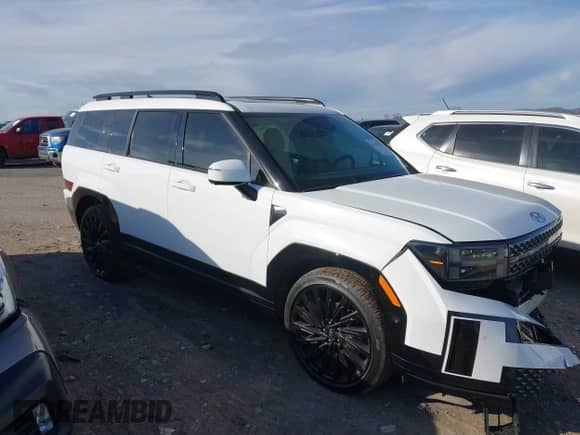 2024 Hyundai Santa Fe Calligraphy с VIN 5NMP5DGL4RH014245, выставлен на аукционе IAAI как лот 41672038 с пробегом 14 658 миль миль и . История ставок и продаж доступна на DreamBid. Изображение 13.