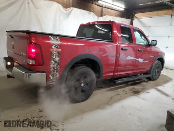 ✅ 2010 Dodge 1500 SLT • VIN: 1D7RV1GP4AS193718 • Lot: 49964675. Wystawiony na Copart z przebiegiem 160 984 mil. Bezpłatny archiwum sprzedaży aukcyjnych z USA i szczegółowy raport historii pojazdu na DreamBid. Zdjęcie 3.