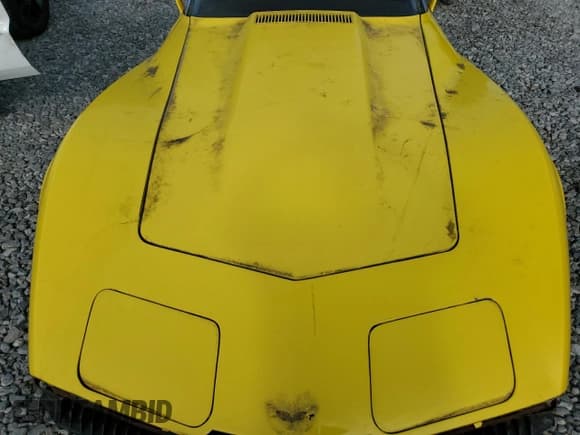 ✅ 1977 Chevrolet Corvette • VIN: 0001Z37L7S432530 • Lot: 85540705. Listed on Copart with 81,199 mi. Free auction sales archive from the USA and detailed vehicle history report at DreamBid. Image 11.