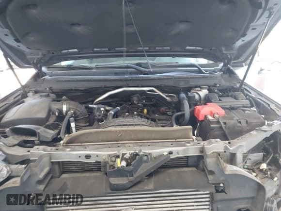 ✅ 2021 Ford Ranger XL • VIN: 1FTER4EH4MLE05199 • Лот: 43521016. Опубликован ранее на IAAI с пробегом 78 287 миль. Бесплатный доступ к архиву аукционных продаж из США и подробный отчёт об истории автомобиля на DreamBid. Изображение 10.