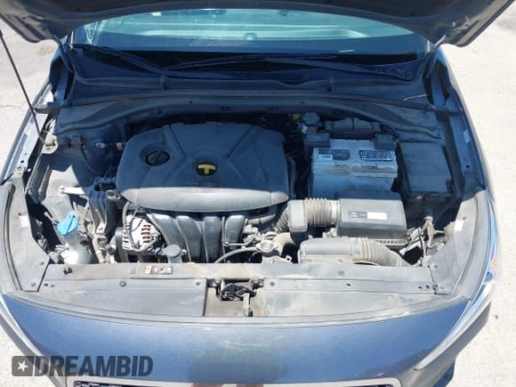 ✅ 2019 Hyundai Elantra • VIN: KMHH35LE6KU109519 • Lot: 42440088. Wystawiony na IAAI z przebiegiem 46 671 mil. Bezpłatny archiwum sprzedaży aukcyjnych z USA i szczegółowy raport historii pojazdu na DreamBid. Zdjęcie 10.