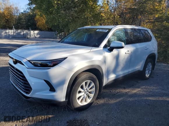 ✅ 2024 Toyota Highlander XLE • VIN: 5TDAAAB52RS008899 • Lot: 86780255. Wystawiony na Copart z przebiegiem 29 850 mil. Bezpłatny archiwum sprzedaży aukcyjnych z USA i szczegółowy raport historii pojazdu na DreamBid. Zdjęcie 1.