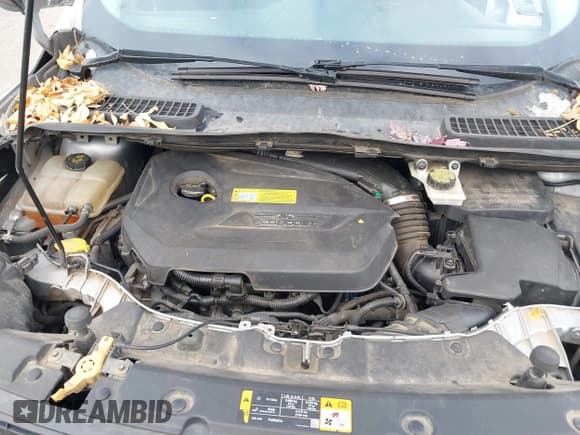 ✅ 2013 Ford Escape SEL • VIN: 1FMCU9HX7DUB71250 • Лот: 43860768. Опубликован ранее на IAAI с пробегом 160 687 миль. Бесплатный доступ к архиву аукционных продаж из США и подробный отчёт об истории автомобиля на DreamBid. Изображение 10.