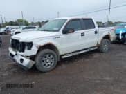 ✅ 2011 Ford F-150 XLT • VIN: 1FTFW1EF3BFC61697 • Лот: 43500978. Опубликован ранее на IAAI с пробегом 164 371 миль. Бесплатный доступ к архиву аукционных продаж из США и подробный отчёт об истории автомобиля на DreamBid. Изображение 2.