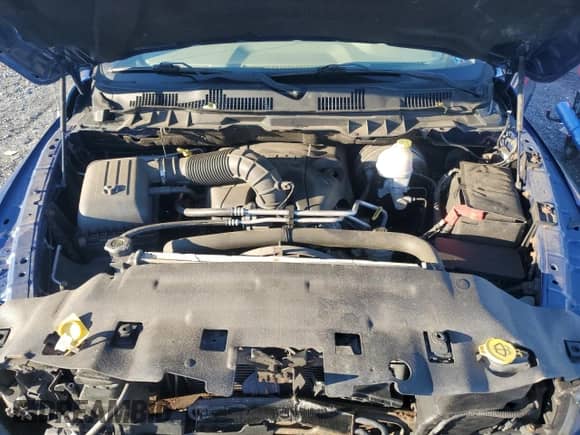 2009 Dodge 1500 SLT с VIN 1D3HV13T29S779717, выставлен на аукционе Copart как лот 80319254 с пробегом 99 591 миль миль и Списание • Salvage title. История ставок и продаж доступна на DreamBid. Изображение 12.