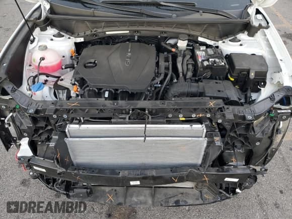 ✅ 2024 Hyundai Tucson XRT • VIN: KM8JF3DE9RU301412 • Lot: 76562464. Wystawiony na Copart z przebiegiem 1 340 mil. Bezpłatny archiwum sprzedaży aukcyjnych z USA i szczegółowy raport historii pojazdu na DreamBid. Zdjęcie 12.