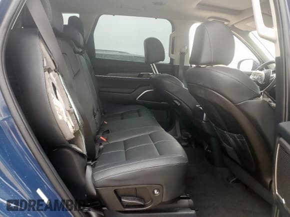 ✅ 2025 Kia Telluride EX • VIN: 5XYP34GCXSG623216 • Lot: 59778645. Listed on Copart with 3,102 mi. Free auction sales archive from the USA and detailed vehicle history report at DreamBid. Image 10.