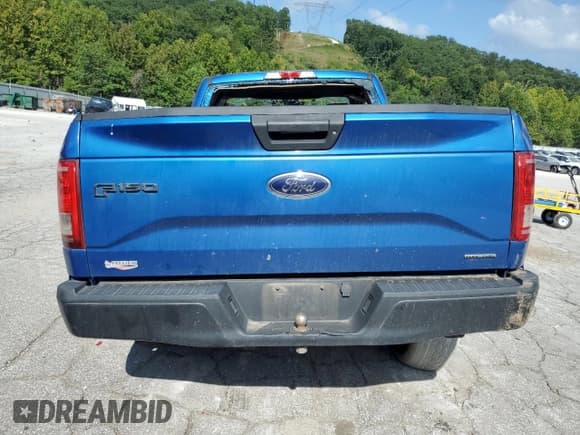 ✅ 2016 Ford F-150 XL • VIN: 1FTMF1E87GKD28437 • Lot: 69589455. Wystawiony na Copart z przebiegiem 111 251 mil. Bezpłatny archiwum sprzedaży aukcyjnych z USA i szczegółowy raport historii pojazdu na DreamBid. Zdjęcie 6.