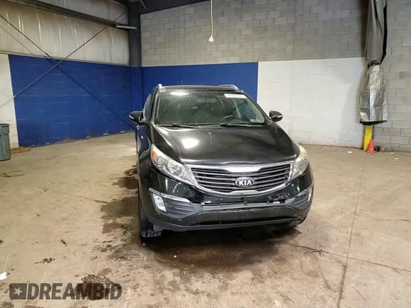 ✅ 2013 Kia Sportage EX • VIN: KNDPCCA25D7428067 • Lot: 59466905. Listed on Copart with 213,535 mi. Free auction sales archive from the USA and detailed vehicle history report at DreamBid. Image 14.