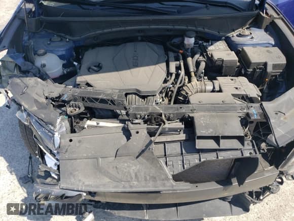 ✅ 2023 Hyundai Tucson Limited • VIN: 5NMJECAE9PH184351 • Lot: 64884794. Wystawiony na Copart z przebiegiem 33 107 mil. Bezpłatny archiwum sprzedaży aukcyjnych z USA i szczegółowy raport historii pojazdu na DreamBid. Zdjęcie 12.