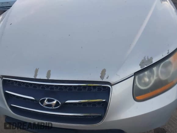 ✅ 2008 Hyundai Santa Fe SE • VIN: 5NMSH73E08H229064 • Лот: 43694695. Опубликован ранее на IAAI с пробегом 168 004 миль. Бесплатный доступ к архиву аукционных продаж из США и подробный отчёт об истории автомобиля на DreamBid. Изображение 6.