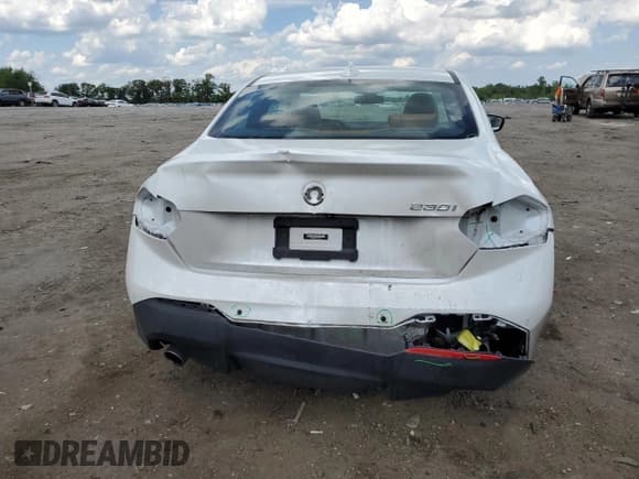 ✅ 2022 BMW 2 Series 230i • VIN: 3MW23CM08N8C50009 • Lot: 55574415. Listed on Copart with 65,654 mi. Free auction sales archive from the USA and detailed vehicle history report at DreamBid. Image 6.