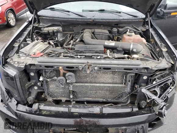 ✅ 2010 Ford F-150 XL • VIN: 1FTFW1EV2AFB15880 • Lot: 55620935. Listed on Copart with 157,159 mi. Free auction sales archive from the USA and detailed vehicle history report at DreamBid. Image 11.