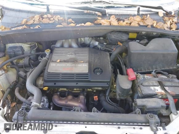 ✅ 2001 Toyota Sienna LE • VIN: 4T3ZF13C31U393989 • Lot: 42301091. Listed on IAAI with 238,404 mi. Free auction sales archive from the USA and detailed vehicle history report at DreamBid. Image 10.