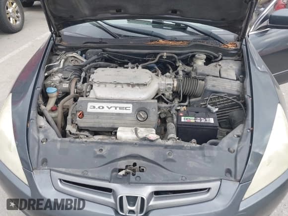 ✅ 2004 Honda Accord EX • VIN: 1HGCM66584A088224 • Lot: 43407315. Listed on IAAI with 219,475 mi. Free auction sales archive from the USA and detailed vehicle history report at DreamBid. Image 10.