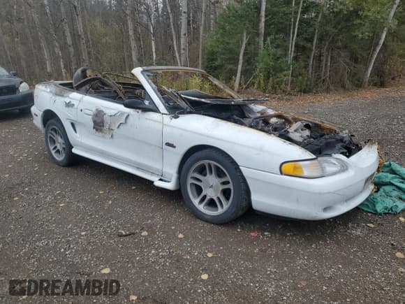 ✅ 1997 Ford Mustang GT • VIN: 1FALP45X1VF152451 • Лот: 89882575. Опубликован ранее на Copart с пробегом Не указан. Бесплатный доступ к архиву аукционных продаж из США и подробный отчёт об истории автомобиля на DreamBid. Изображение 4.