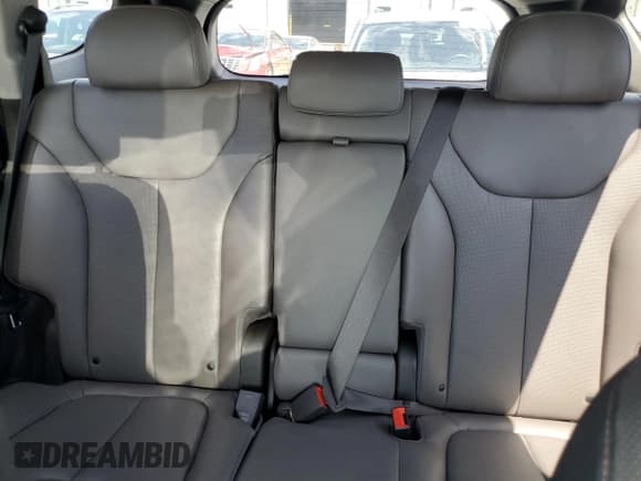 ✅ 2020 Hyundai Santa Fe Limited • VIN: 5NMS5CAA0LH221976 • Lot: 57479144. Wystawiony na Copart z przebiegiem 33 538 mil. Bezpłatny archiwum sprzedaży aukcyjnych z USA i szczegółowy raport historii pojazdu na DreamBid. Zdjęcie 10.