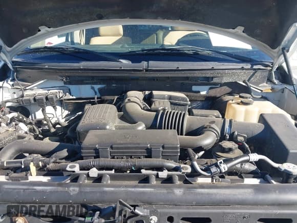 ✅ 2009 Ford F-150 XL • VIN: 1FTPW14V89KC92121 • Лот: 43599276. Опубликован ранее на IAAI с пробегом 205 573 миль. Бесплатный доступ к архиву аукционных продаж из США и подробный отчёт об истории автомобиля на DreamBid. Изображение 10.