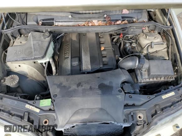 ✅ 2003 BMW X5 3.0i • VIN: 5UXFA53533LV83760 • Lot: 54744234. Listed on Copart with Not provided. Free auction sales archive from the USA and detailed vehicle history report at DreamBid. Image 11.