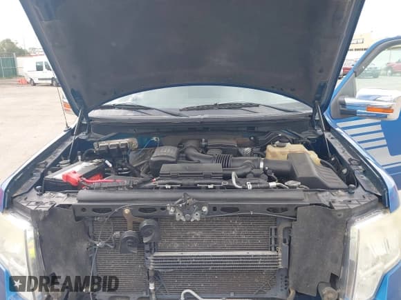 ✅ 2010 Ford F-150 XL • VIN: 1FTFX1EV7AKA59911 • Lot: 43394648. Listed on IAAI with 257,030 mi. Free auction sales archive from the USA and detailed vehicle history report at DreamBid. Image 10.