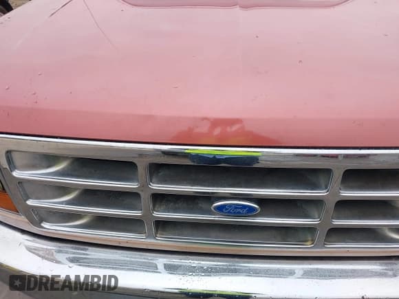 ✅ 1994 Ford F-150 • VIN: 1FTEX15N9RKB01017 • Lot: 43853753. Listed on IAAI with Not provided. Free auction sales archive from the USA and detailed vehicle history report at DreamBid. Image 14.