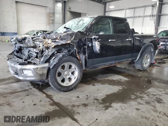 ✅ 2009 Dodge 1500 Sport • VIN: 1D3HV18T09S702305 • Lot: 70002034. Wystawiony na Copart z przebiegiem Nie podano. Bezpłatny archiwum sprzedaży aukcyjnych z USA i szczegółowy raport historii pojazdu na DreamBid. Zdjęcie 1.