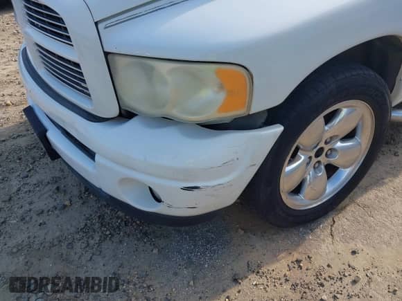 2003 Dodge 1500 ST z VIN 1D7HA18N83S214724, wystawiony jako IAAI lot #42566134 z przebiegiem 280 750 mil mil oraz . Historia ofert i sprzedaży dostępna na DreamBid. Obrazek 12.