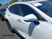 ✅ 2025 Lexus NX 250 • VIN: 2T2ADCAZ1SC025730 • Lot: 42605987. Wystawiony na IAAI z przebiegiem 697 mil. Bezpłatny archiwum sprzedaży aukcyjnych z USA i szczegółowy raport historii pojazdu na DreamBid. Zdjęcie 14.