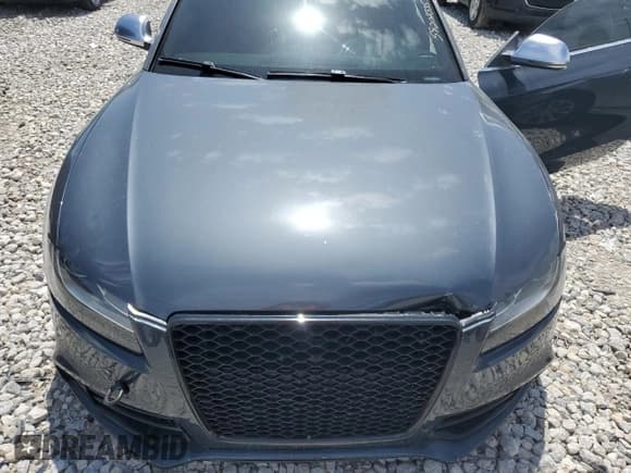 ✅ 2008 Audi S5 • VIN: WAURV78T58A010087 • Лот: 58202335. Опубликован ранее на Copart с пробегом Не указан. Бесплатный доступ к архиву аукционных продаж из США и подробный отчёт об истории автомобиля на DreamBid. Изображение 11.