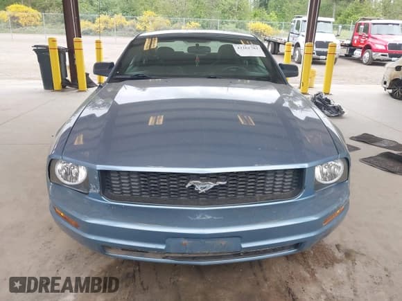 ✅ 2006 Ford Mustang Standard • VIN: 1ZVFT80N965118066 • Lot: 42261782. Wystawiony na IAAI z przebiegiem 132 447 mil. Bezpłatny archiwum sprzedaży aukcyjnych z USA i szczegółowy raport historii pojazdu na DreamBid. Zdjęcie 13.