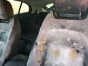 ✅ 2020 Jaguar I-Pace S • VIN: SADHB2S11L1F85207 • Лот: 74671094. Опубликован ранее на Copart с пробегом Не указан. Бесплатный доступ к архиву аукционных продаж из США и подробный отчёт об истории автомобиля на DreamBid. Изображение 10.