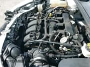 ✅ 2018 Ford Focus SE • VIN: 1FADP3F21JL225220 • Лот: 43670473. Опубликован ранее на IAAI с пробегом 125 394 миль. Бесплатный доступ к архиву аукционных продаж из США и подробный отчёт об истории автомобиля на DreamBid. Изображение 20.