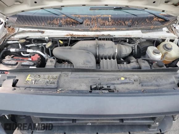 ✅ 2013 Ford Econoline Cargo Commercial • VIN: 1FTSS3EL8DDB02166 • Lot: 82120874. Wystawiony na Copart z przebiegiem 63 876 mil. Bezpłatny archiwum sprzedaży aukcyjnych z USA i szczegółowy raport historii pojazdu na DreamBid. Zdjęcie 12.