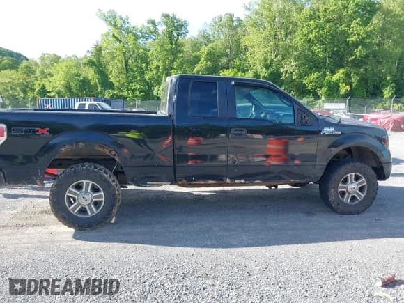 ✅ 2010 Ford F-150 XL • VIN: 1FTEX1EW2AFA18163 • Lot: 42295077. Listed on IAAI with 217,430 mi. Free auction sales archive from the USA and detailed vehicle history report at DreamBid. Image 13.