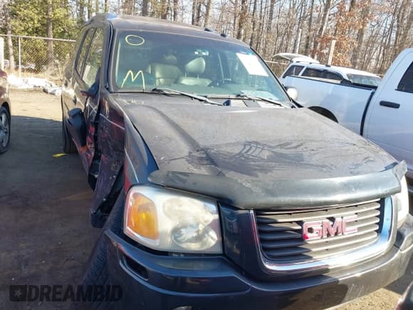 ✅ 2004 GMC Envoy SLE • VIN: 1GKES12S246191321 • Lot: 41386219. Listed on IAAI with 116,019 mi. Free auction sales archive from the USA and detailed vehicle history report at DreamBid. Image 12.