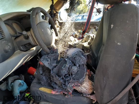 ✅ 2010 Chevrolet Silverado 1500 Work Truck • VIN: 1GCPCPEX1AZ185919 • Lot: 82631595. Listed on Copart with Not provided. Free auction sales archive from the USA and detailed vehicle history report at DreamBid. Image 7.