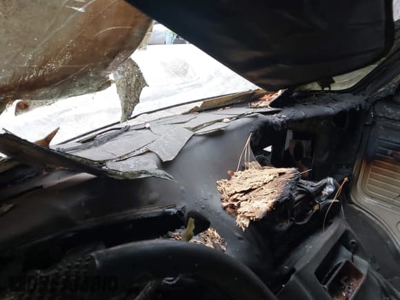 ✅ 1995 Chevrolet Chevy Van • VIN: 1GCEG25Z8SF161510 • Лот: 43742523. Опубликован ранее на IAAI с пробегом Не указан. Бесплатный доступ к архиву аукционных продаж из США и подробный отчёт об истории автомобиля на DreamBid. Изображение 6.