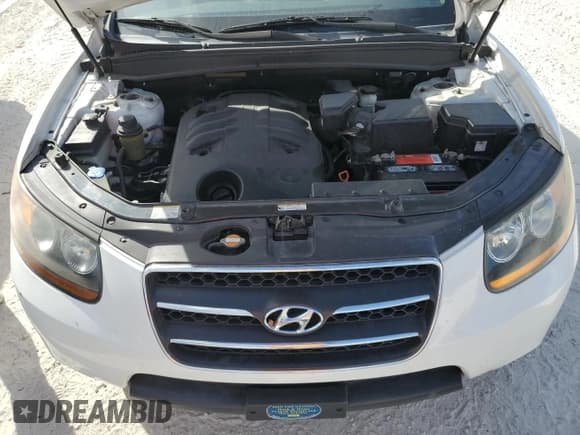 ✅ 2009 Hyundai Santa Fe Limited • VIN: 5NMSH13E69H246692 • Lot: 77209164. Listed on Copart with Not provided. Free auction sales archive from the USA and detailed vehicle history report at DreamBid. Image 12.