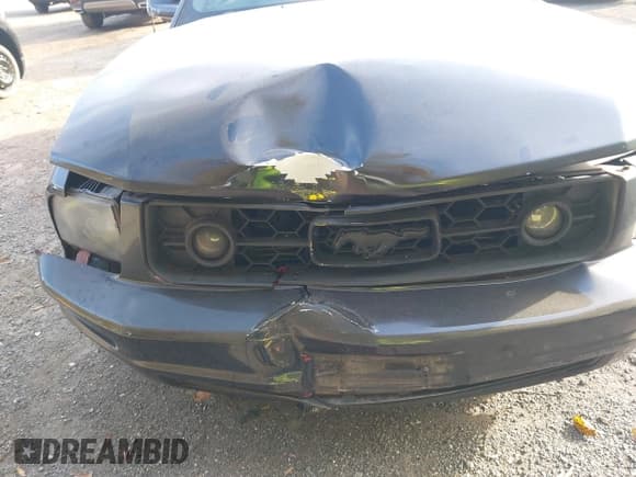 ✅ 2006 Ford Mustang Standard • VIN: 1ZVHT80N865119329 • Lot: 43561715. Wystawiony na IAAI z przebiegiem 163 003 mil. Bezpłatny archiwum sprzedaży aukcyjnych z USA i szczegółowy raport historii pojazdu na DreamBid. Zdjęcie 6.