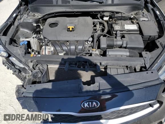 ✅ 2019 Kia Forte LXS • VIN: 3KPF24AD2KE071272 • Lot: 92781855. Wystawiony na Copart z przebiegiem 79 827 mil. Bezpłatny archiwum sprzedaży aukcyjnych z USA i szczegółowy raport historii pojazdu na DreamBid. Zdjęcie 11.