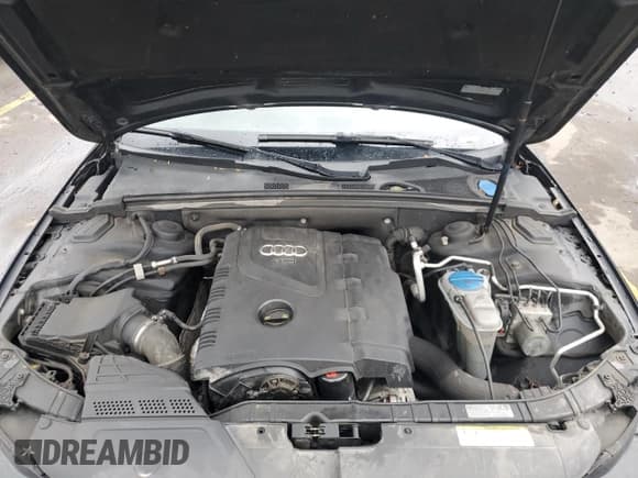 ✅ 2014 Audi A4 Premium Plus • VIN: WAUFFAFL8EA089685 • Лот: 92066165. Опубликован ранее на Copart с пробегом 142 768 миль. Бесплатный доступ к архиву аукционных продаж из США и подробный отчёт об истории автомобиля на DreamBid. Изображение 11.