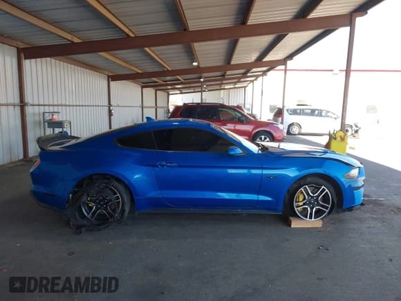 ✅ 2021 Ford Mustang GT • VIN: 1FA6P8CFXM5101257 • Lot: 42207879. Listed on IAAI with 37,036 mi. Free auction sales archive from the USA and detailed vehicle history report at DreamBid. Image 13.