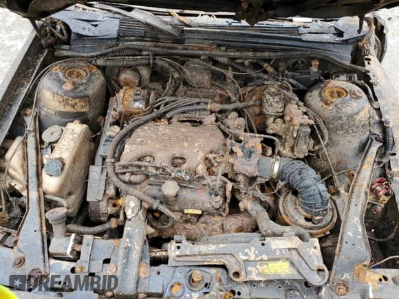 ✅ 1994 Oldsmobile Cutlass Ciera S • VIN: 1G3AG55M9R6363464 • Lot: 54226434. Wystawiony na Copart z przebiegiem Nie podano. Bezpłatny archiwum sprzedaży aukcyjnych z USA i szczegółowy raport historii pojazdu na DreamBid. Zdjęcie 11.