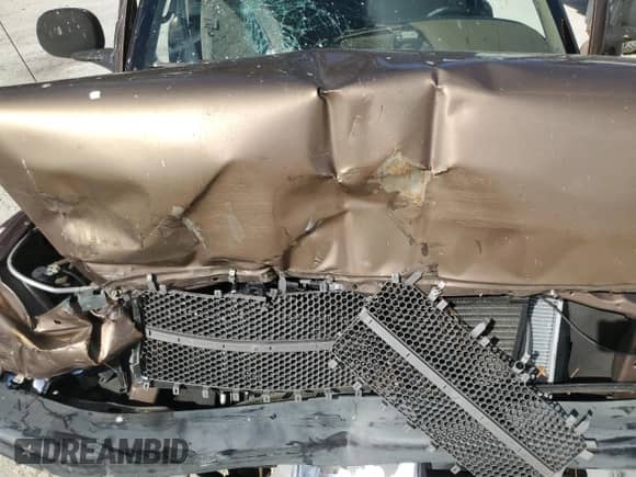 2000 Dodge 1500 с VIN 1B7HC13Y4YJ124957, выставлен на аукционе Copart как лот 76333354 с пробегом 390 462 миль миль и Списание • Salvage title. История ставок и продаж доступна на DreamBid. Изображение 12.