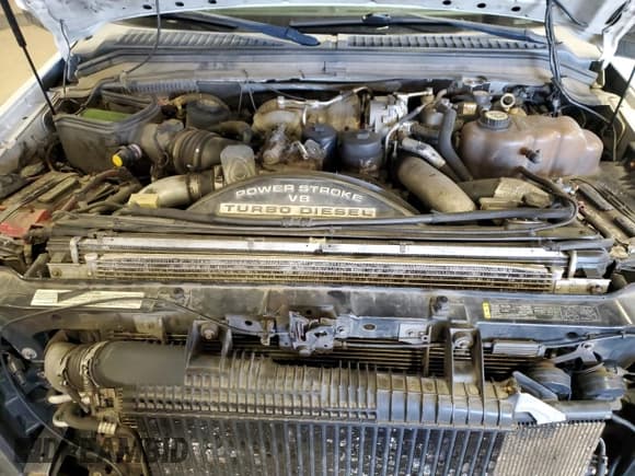 ✅ 2008 Ford F-350 XL • VIN: 1FTWX31R98EB22035 • Lot: 43644045. Listed on Copart with 272,372 mi. Free auction sales archive from the USA and detailed vehicle history report at DreamBid. Image 11.