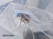 ✅ 2015 Tesla Model S 85D • VIN: 5YJSA1S20FF093624 • Лот: 43856541. Опубликован ранее на IAAI с пробегом Не указан. Бесплатный доступ к архиву аукционных продаж из США и подробный отчёт об истории автомобиля на DreamBid. Изображение 11.