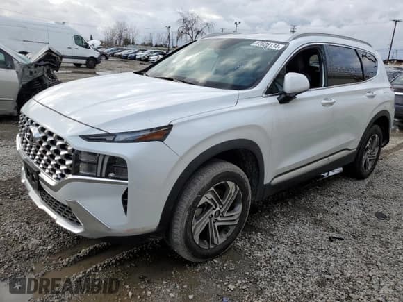 ✅ 2021 Hyundai Santa Fe SEL • VIN: 5NMS2DAJ9MH313541 • Лот: 41628134. Опубликован ранее на Copart с пробегом 6 355 миль. Бесплатный доступ к архиву аукционных продаж из США и подробный отчёт об истории автомобиля на DreamBid. Изображение 1.