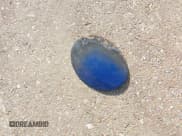 ✅ 2004 Chevrolet Corvette • VIN: 1G1YY32G245113036 • Лот: 42136101. Опубликован ранее на IAAI с пробегом Не указан. Бесплатный доступ к архиву аукционных продаж из США и подробный отчёт об истории автомобиля на DreamBid. Изображение 12.