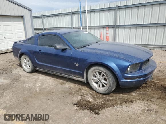 ✅ 2009 Ford Mustang • VIN: 1ZVHT80N395127410 • Lot: 53974835. Wystawiony na Copart z przebiegiem 146 356 mil. Bezpłatny archiwum sprzedaży aukcyjnych z USA i szczegółowy raport historii pojazdu na DreamBid. Zdjęcie 4.